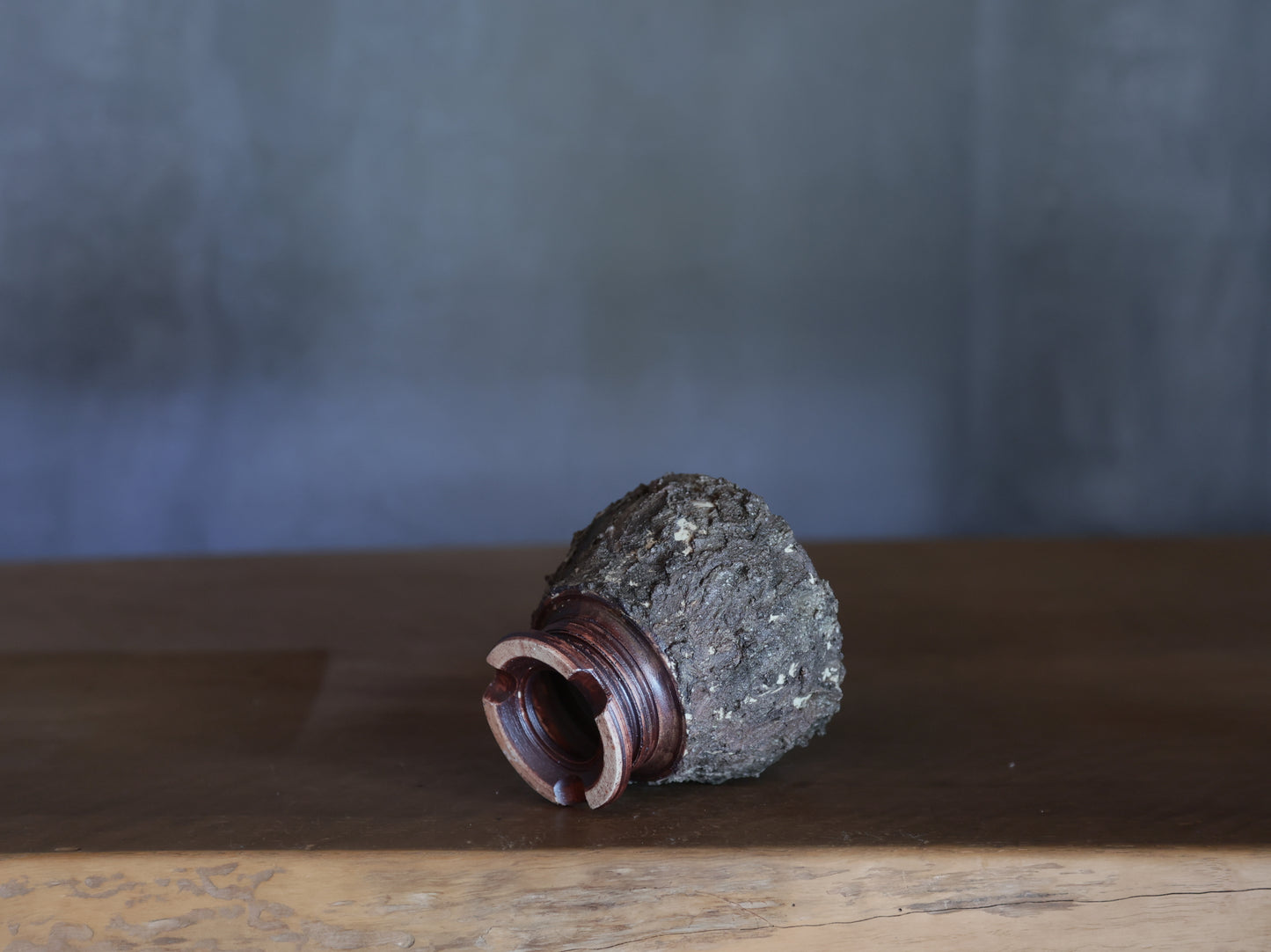 roche nature|今西 敬之
