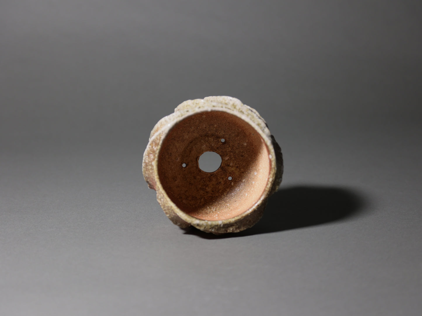 古信楽しのぎ|迫 能弘