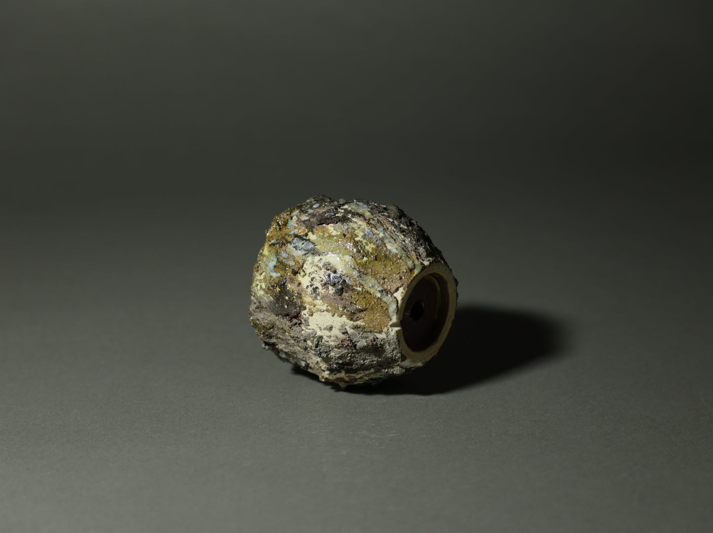 roche nature|今西 敬之