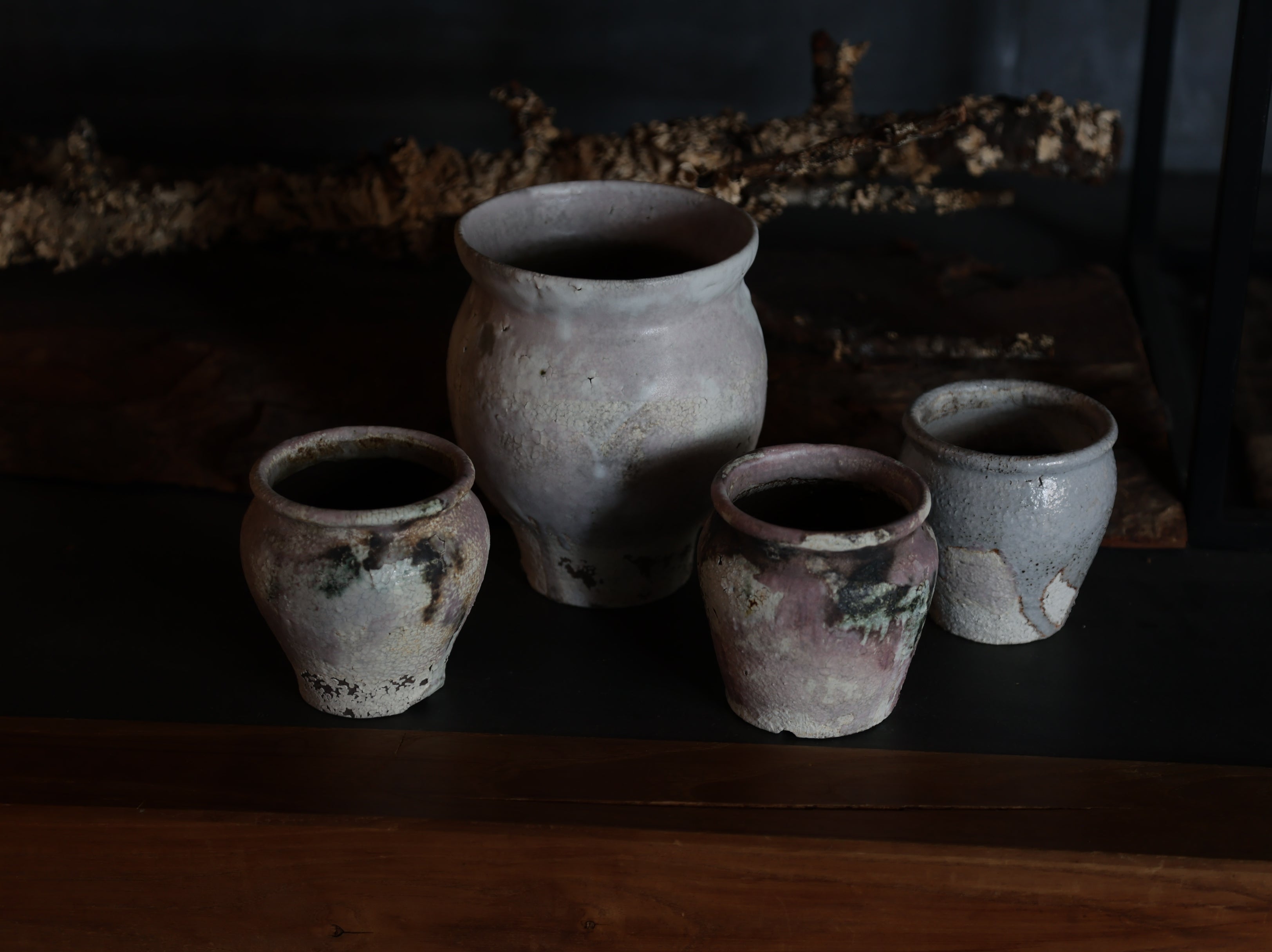 コレクション – Re / ST - plants & pottery -