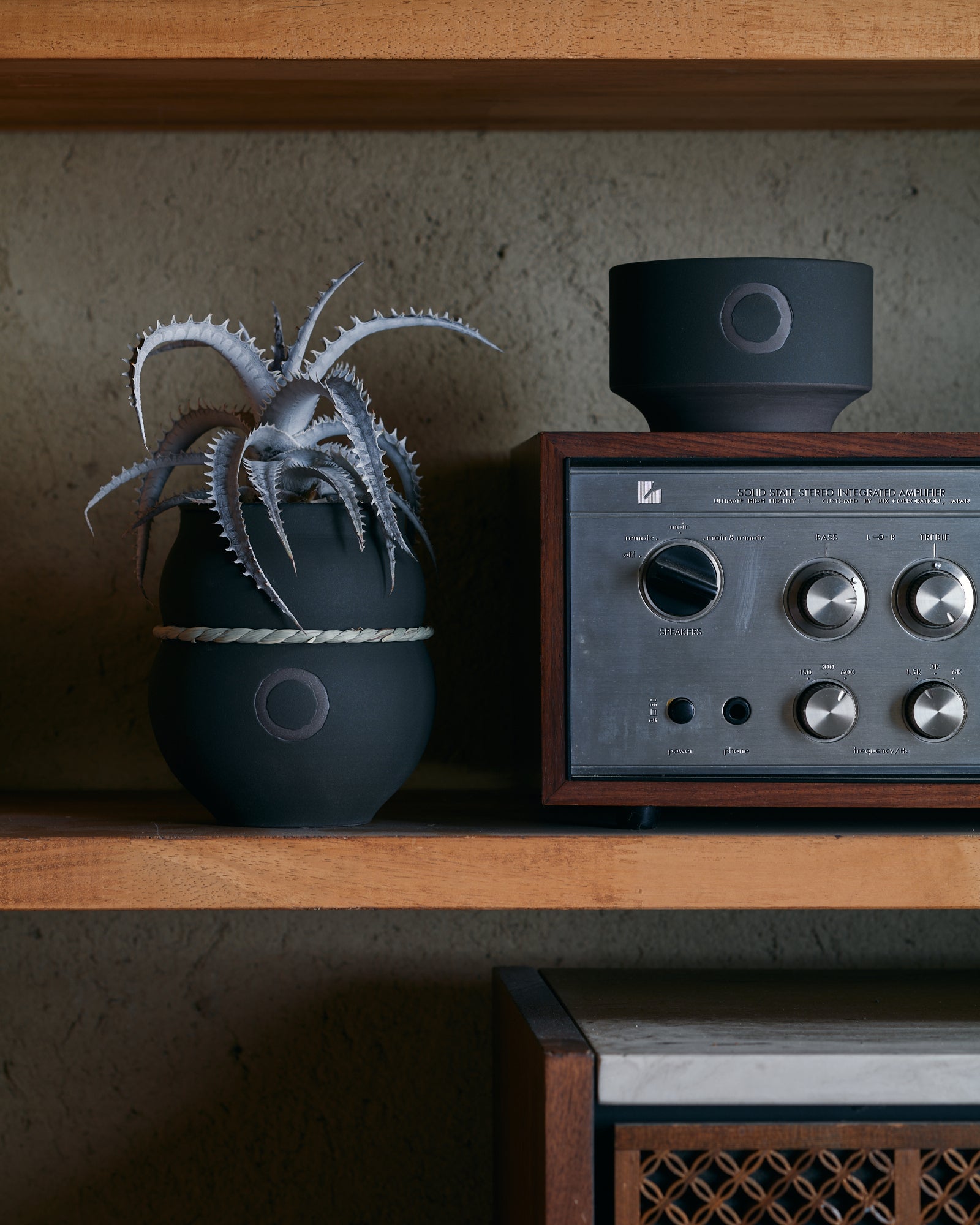 コレクション – Re / ST - plants & pottery -