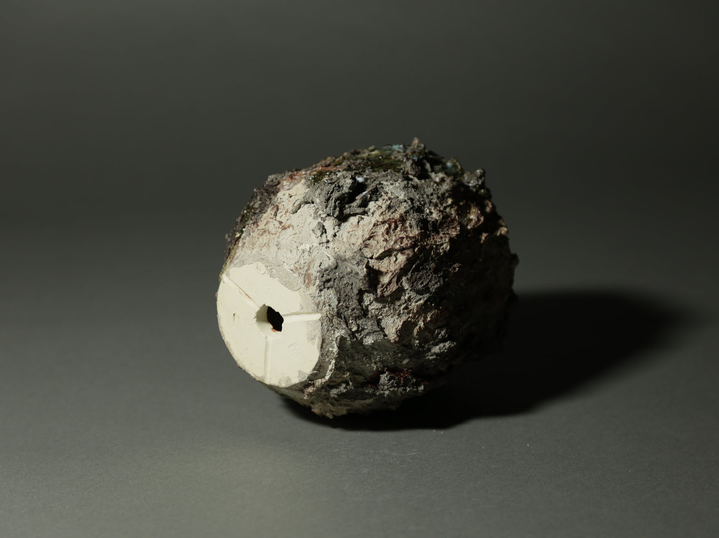 roche nature｜今西 敬之