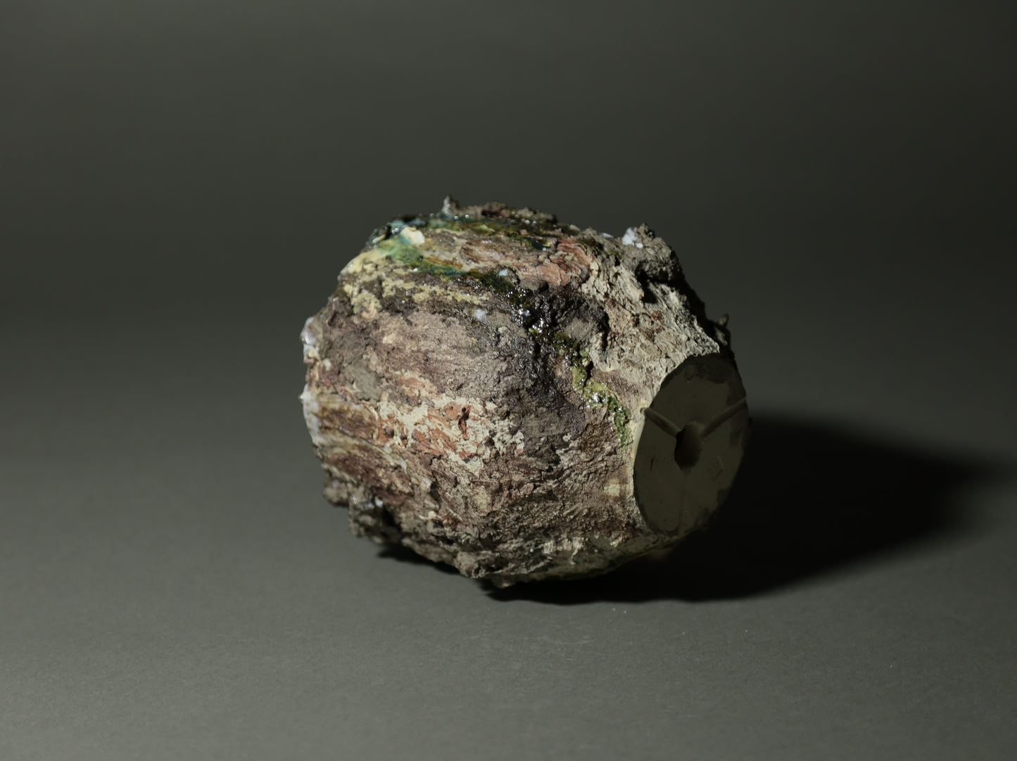 roche nature｜今西 敬之