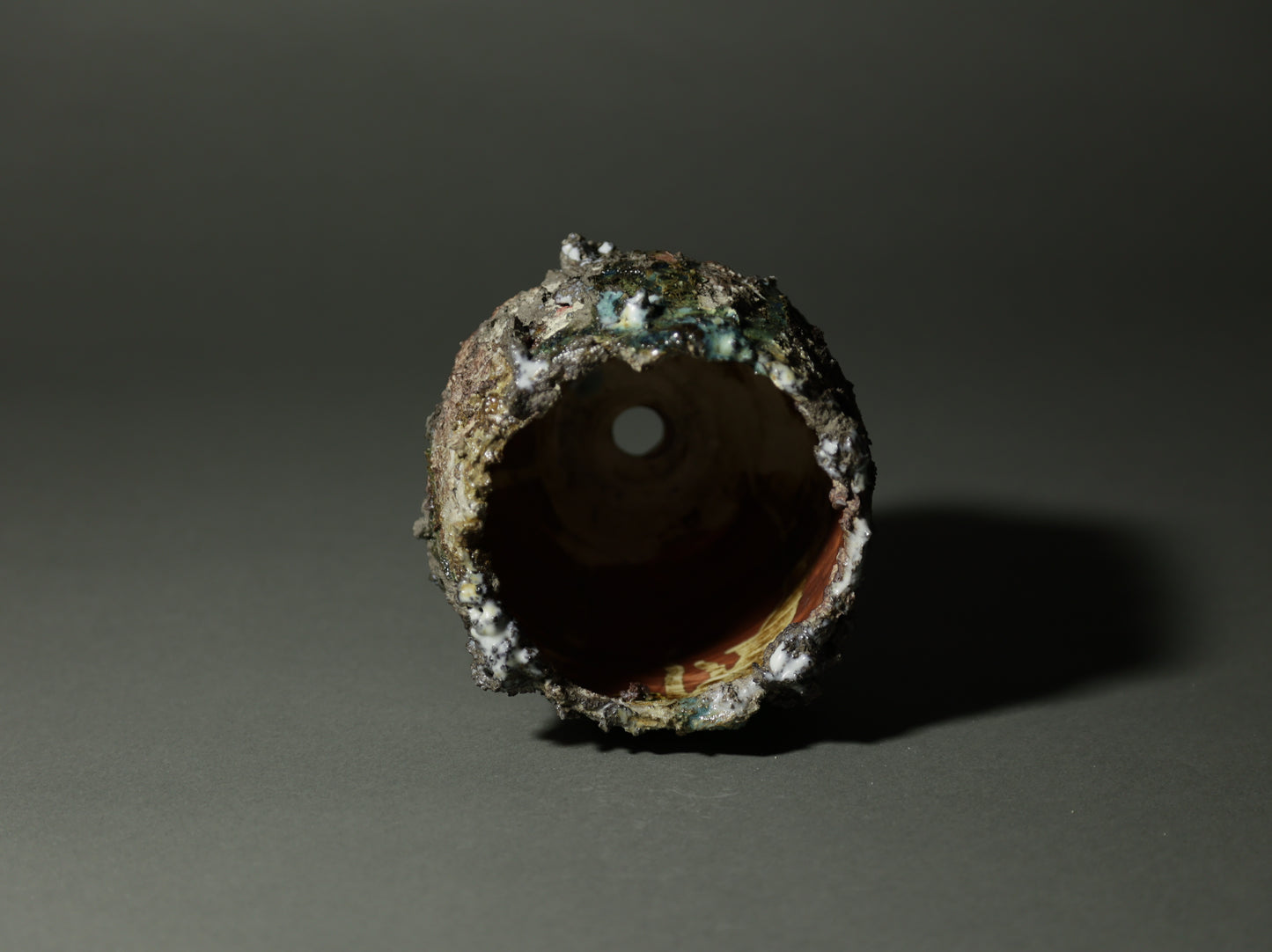 roche nature｜今西 敬之