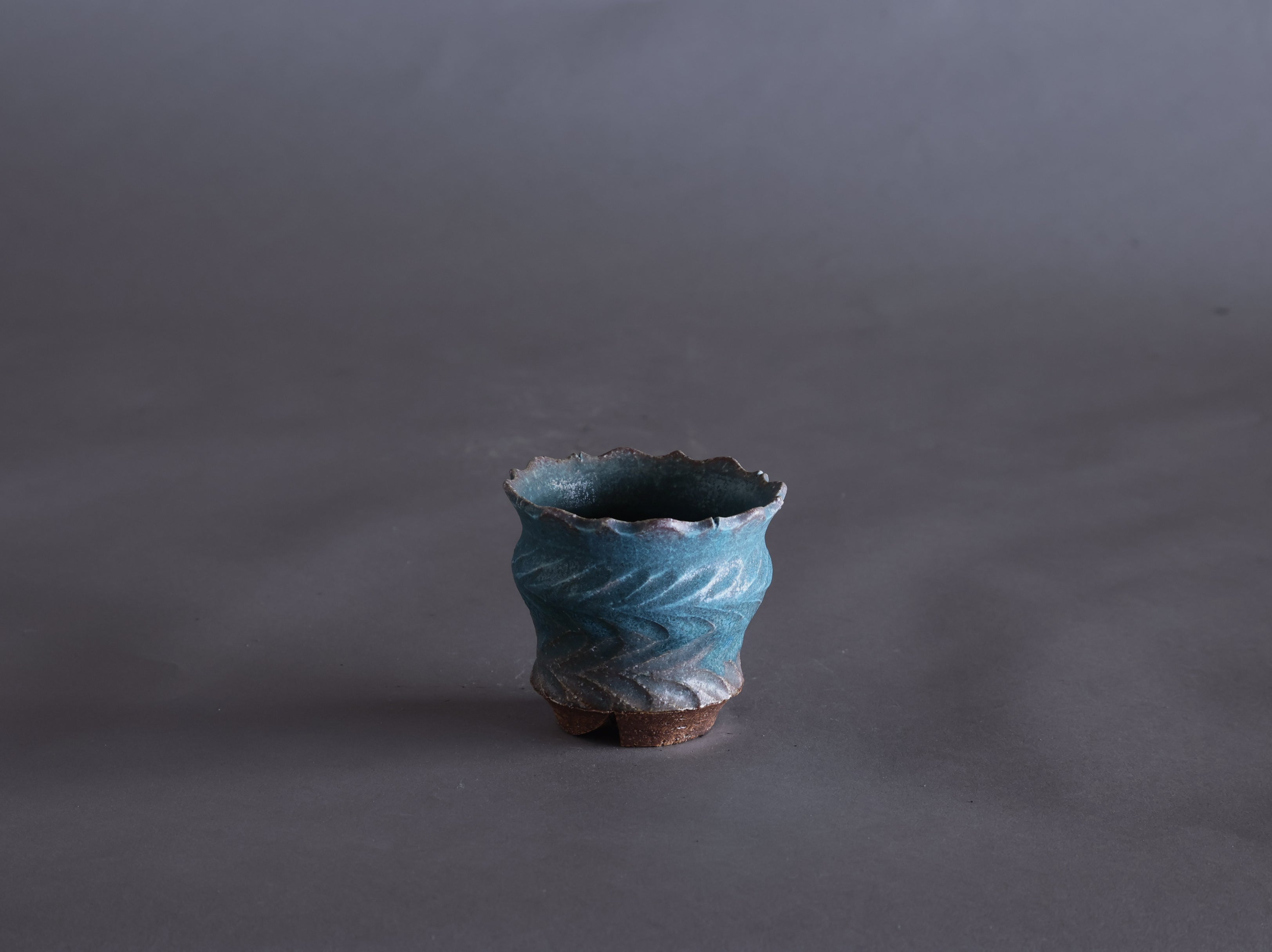 藤原 純 – Re / ST - plants & pottery -