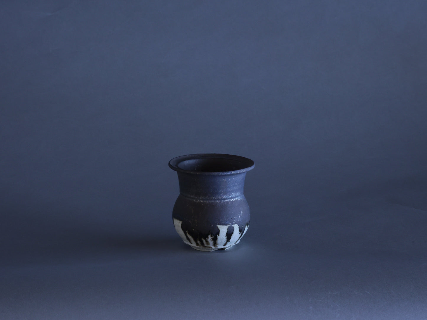 黒貂｜藤原 純