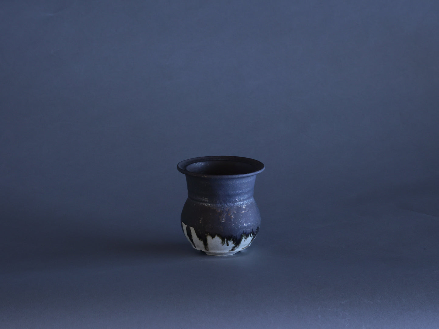 黒貂｜藤原 純