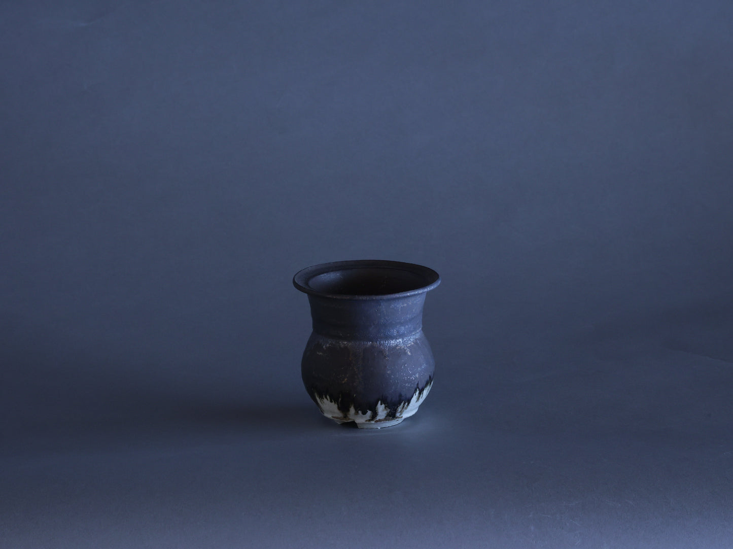 黒貂｜藤原 純