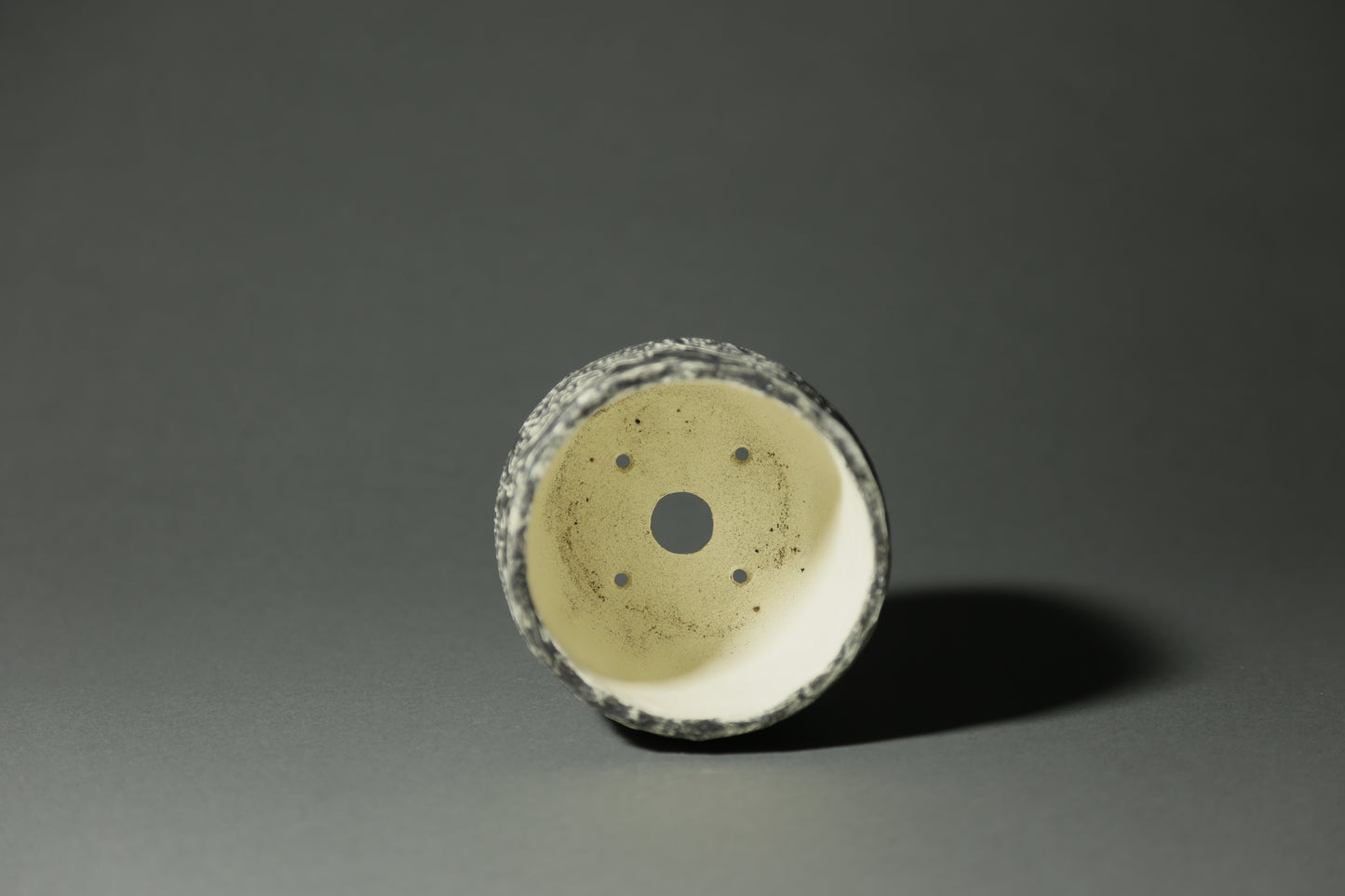 自生鉢｜熊谷 弥香