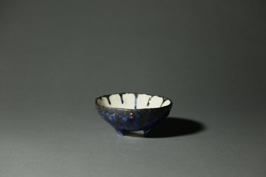 comet.｜北浦 真保