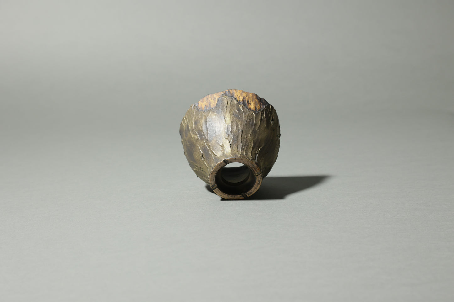 天狗杉｜中田 誠