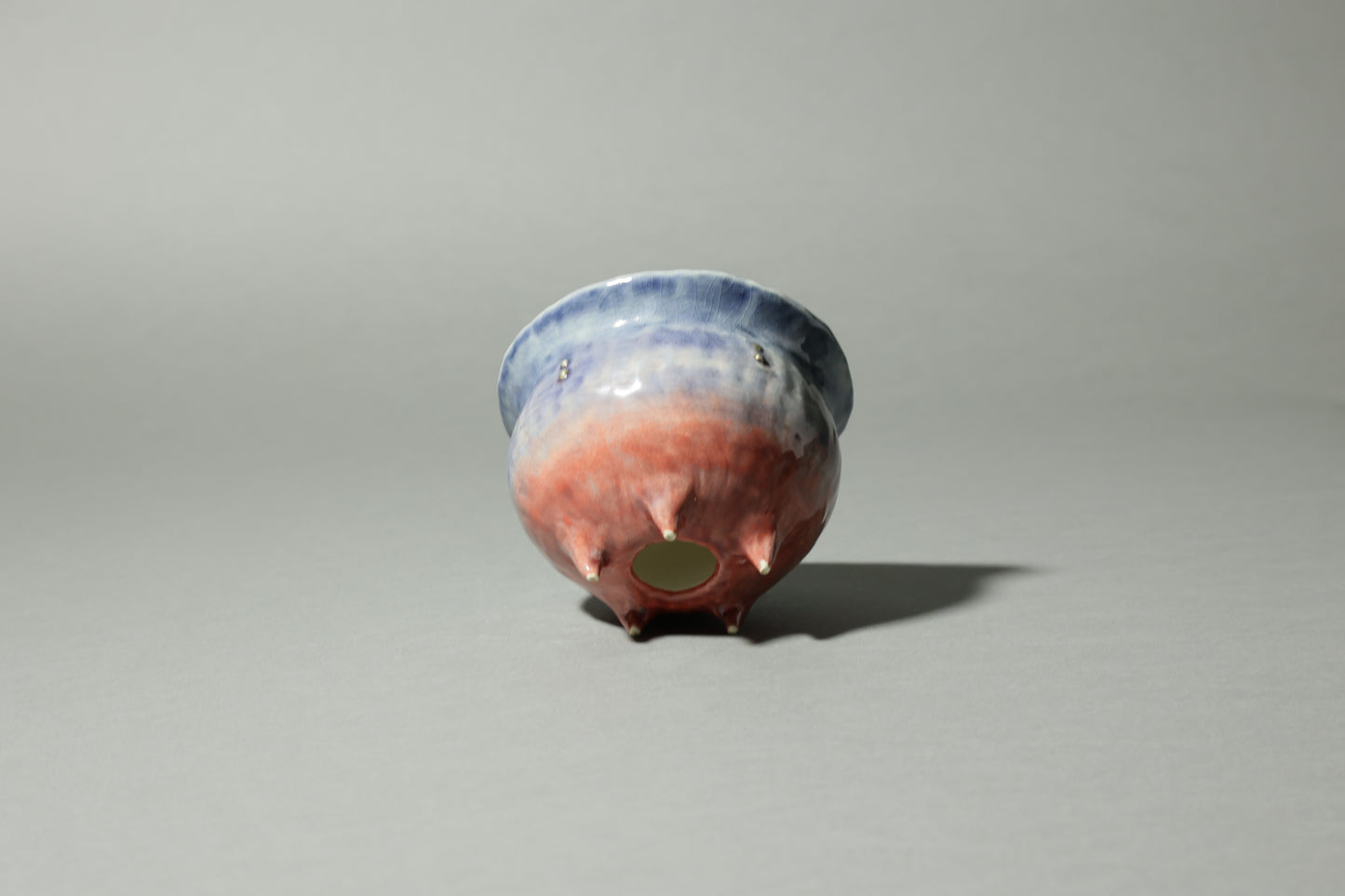 comet.｜北浦 真保