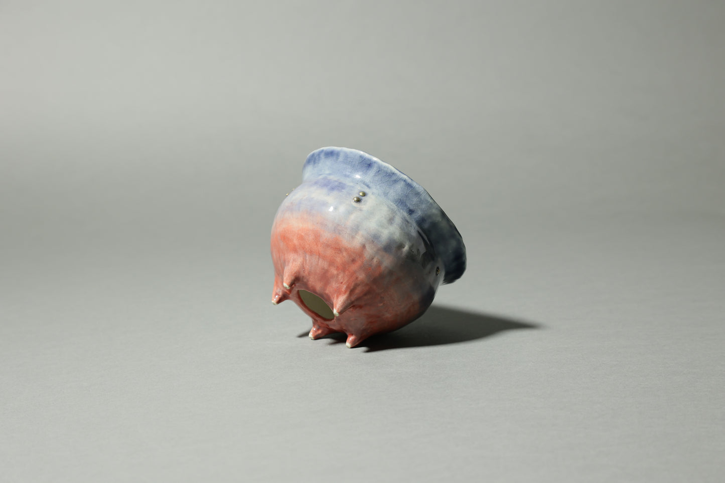 comet.｜北浦 真保