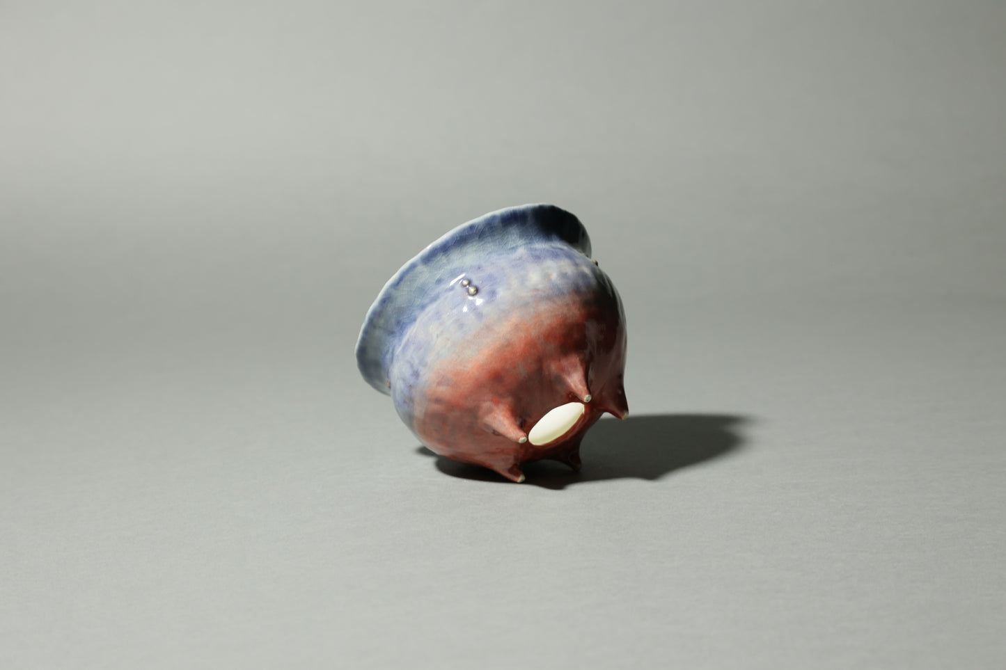 comet.｜北浦 真保