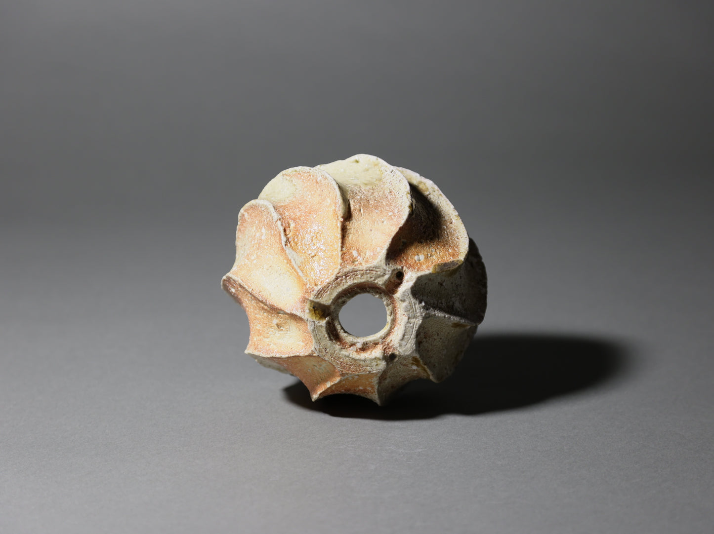 古信楽しのぎ｜迫 能弘