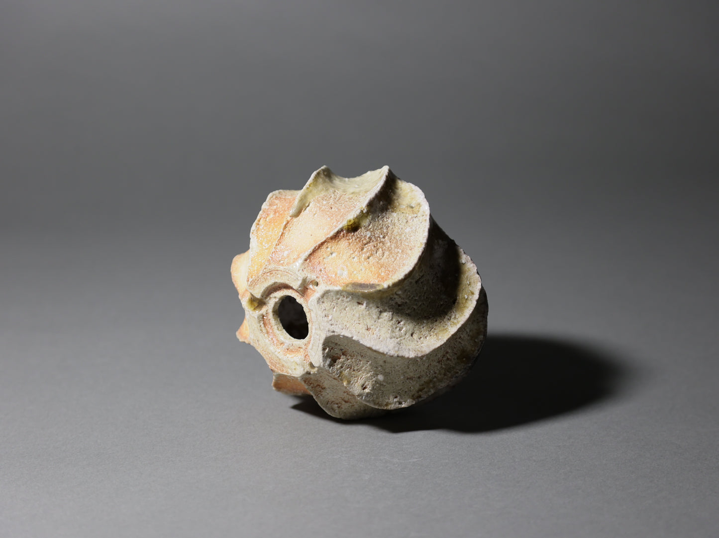 古信楽しのぎ｜迫 能弘