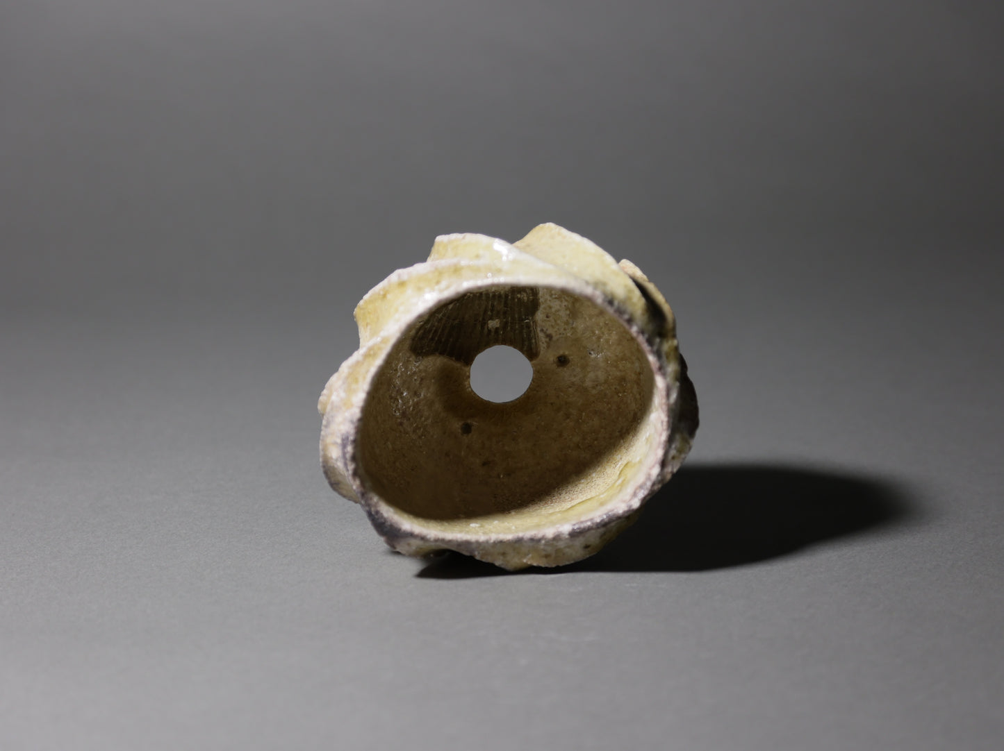 古信楽しのぎ｜迫 能弘