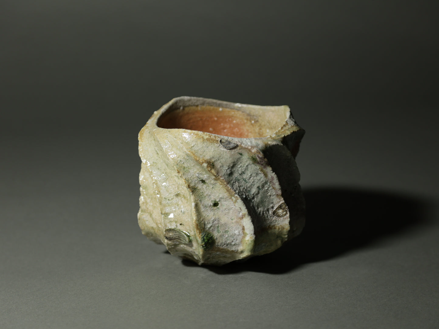 古信楽しのぎ｜迫 能弘