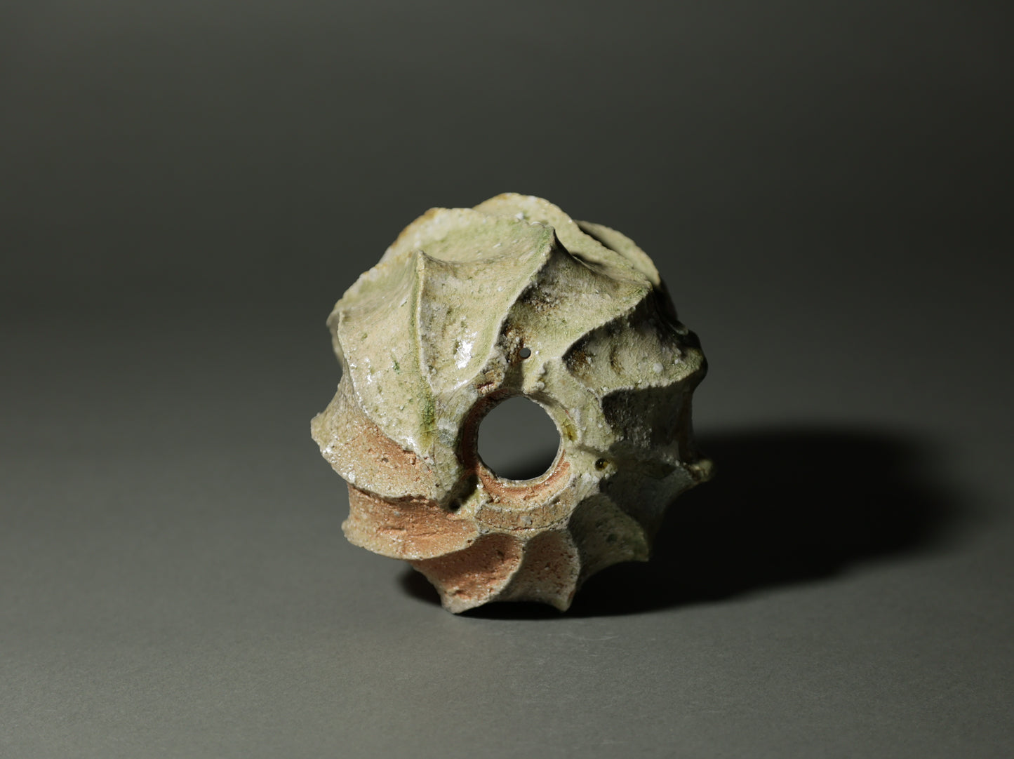 古信楽しのぎ｜迫 能弘