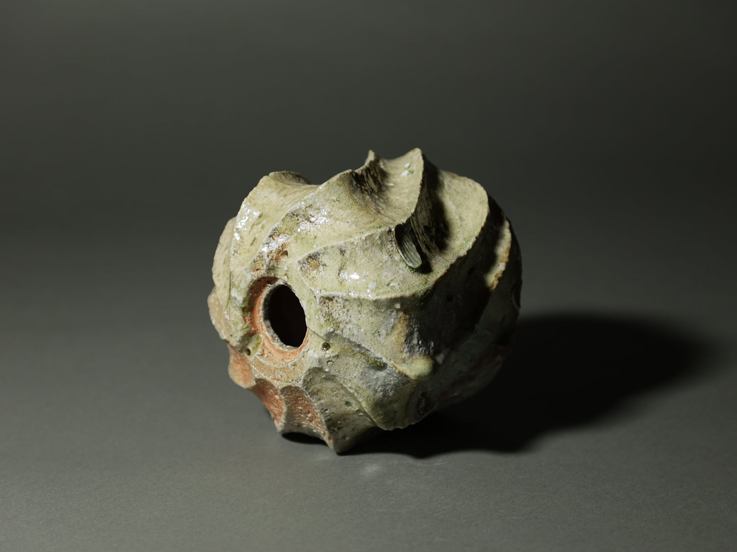 古信楽しのぎ｜迫 能弘