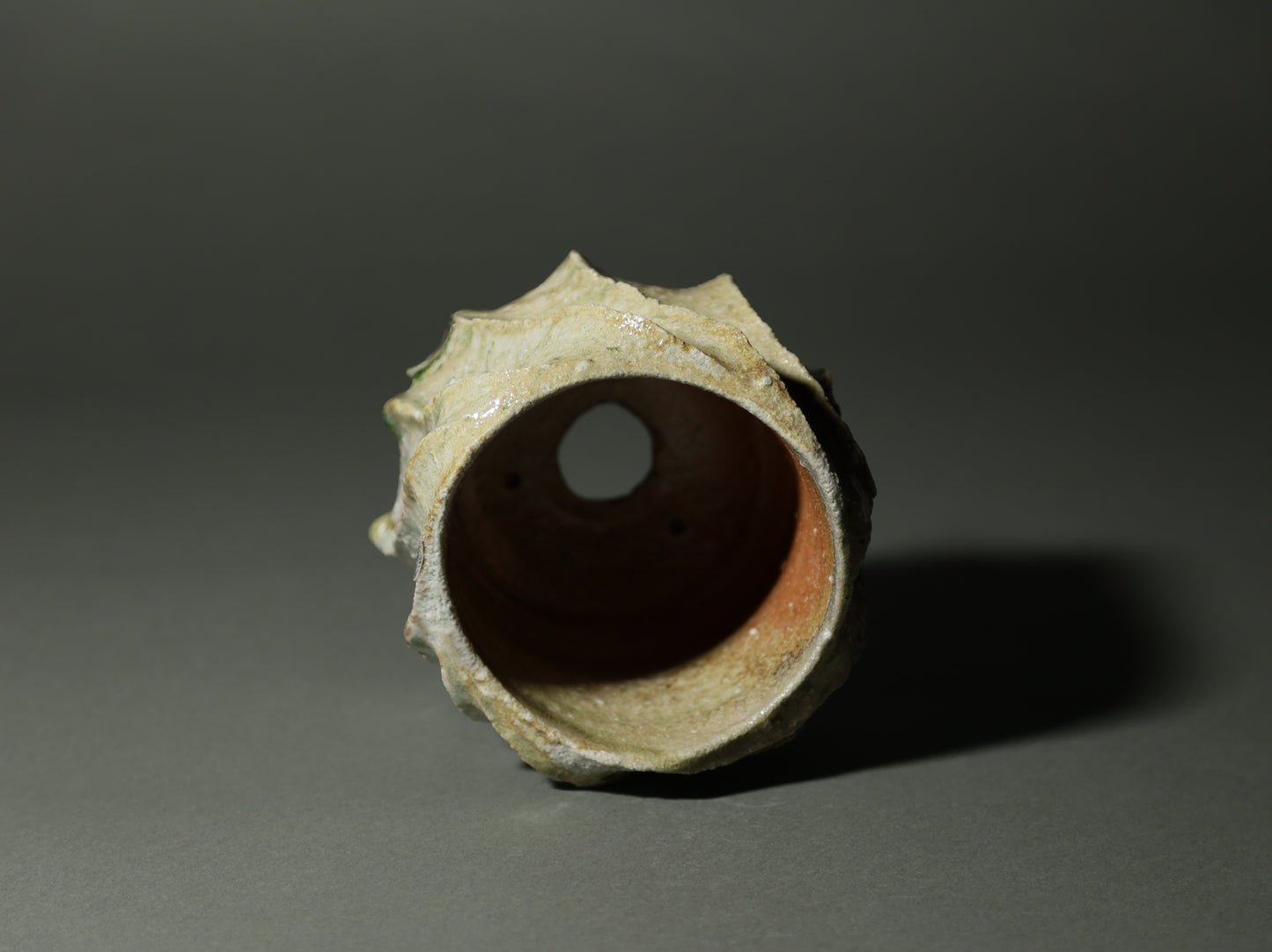 古信楽しのぎ｜迫 能弘