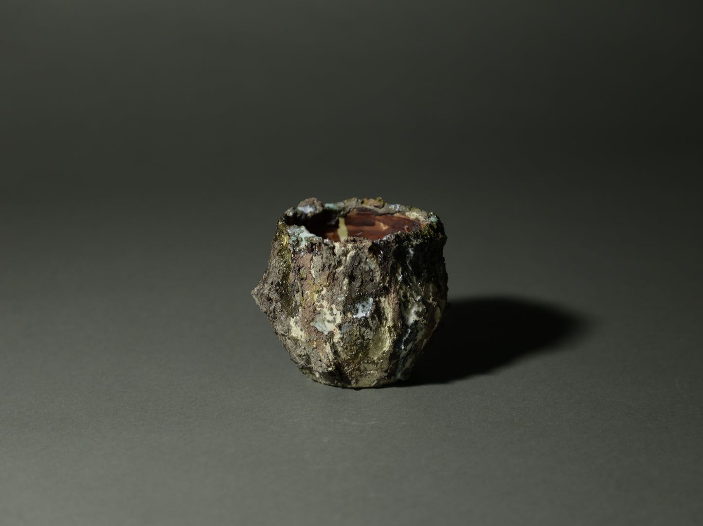 roche nature｜今西 敬之