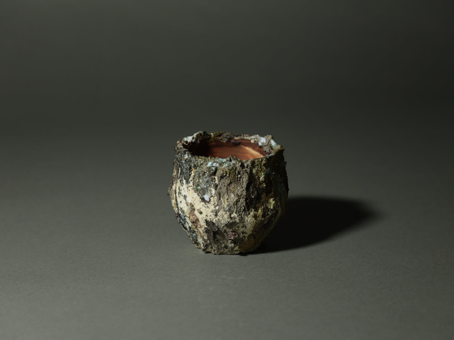 roche nature｜今西 敬之