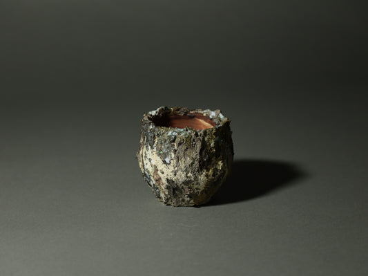 roche nature｜今西 敬之