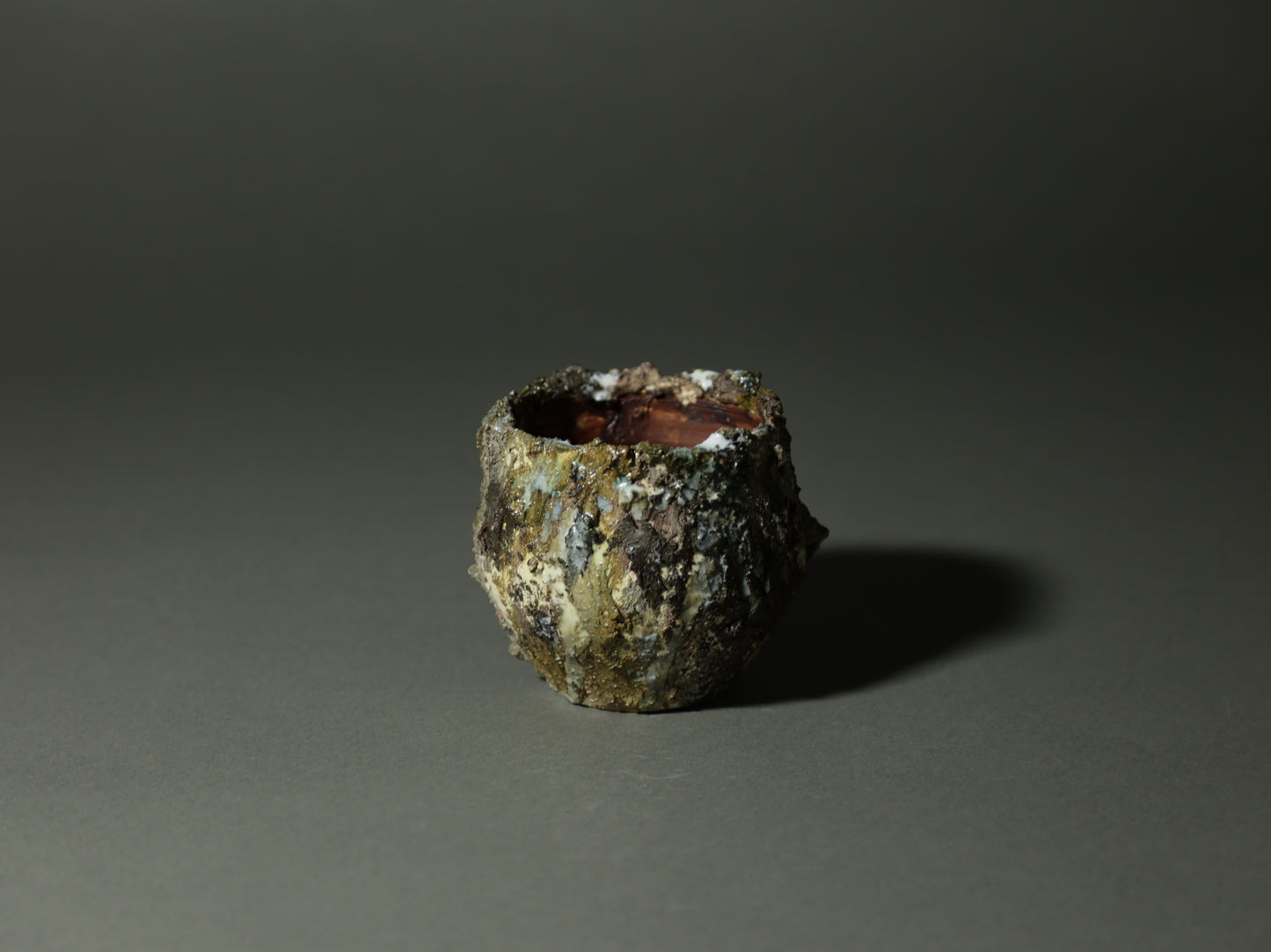 roche nature｜今西 敬之