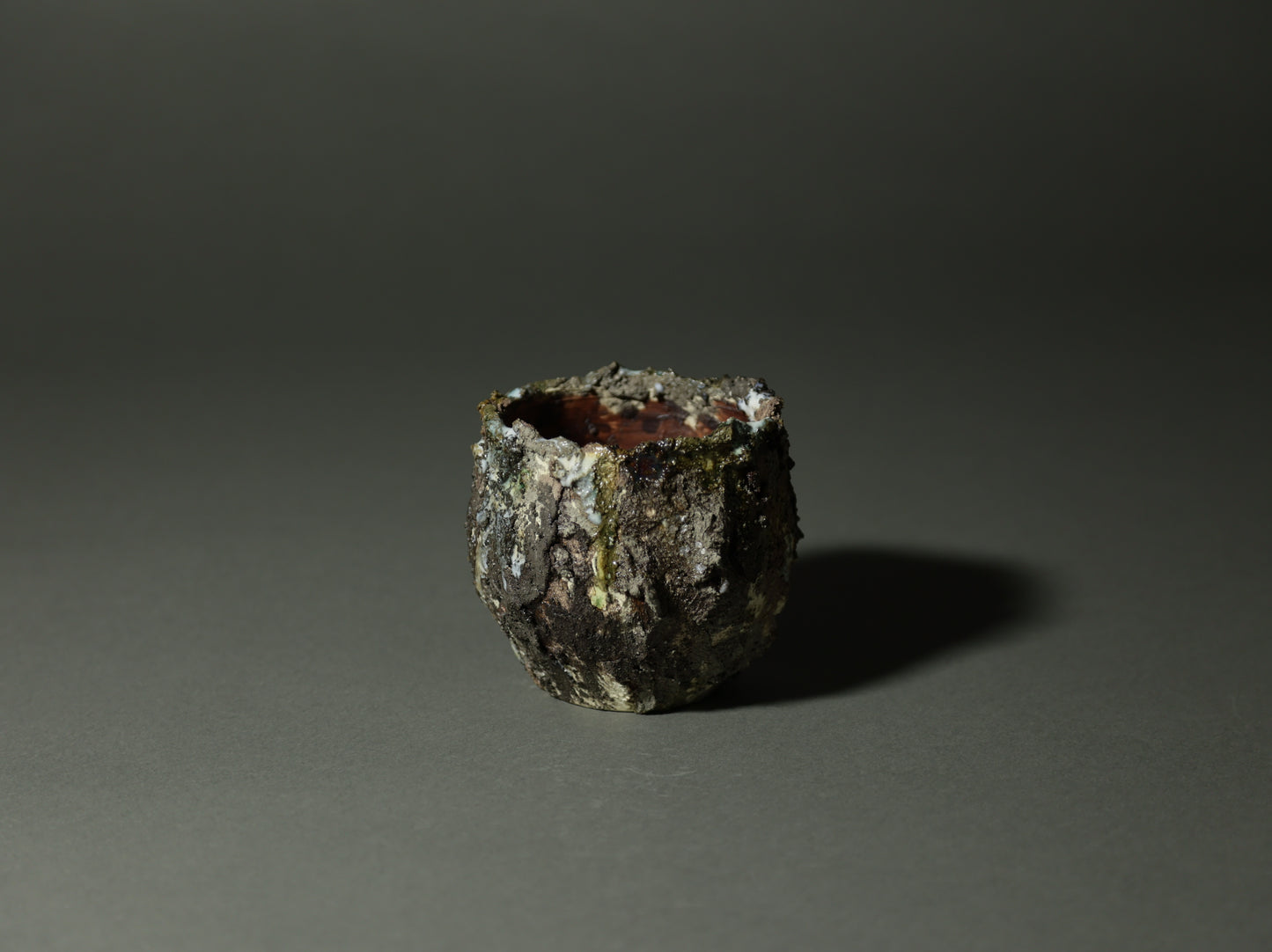 roche nature｜今西 敬之