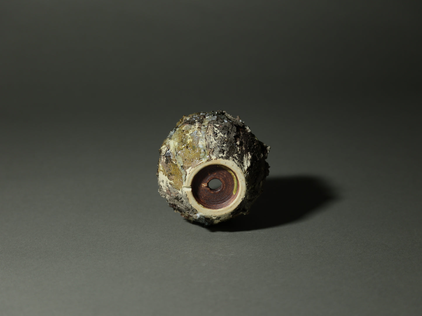 roche nature｜今西 敬之