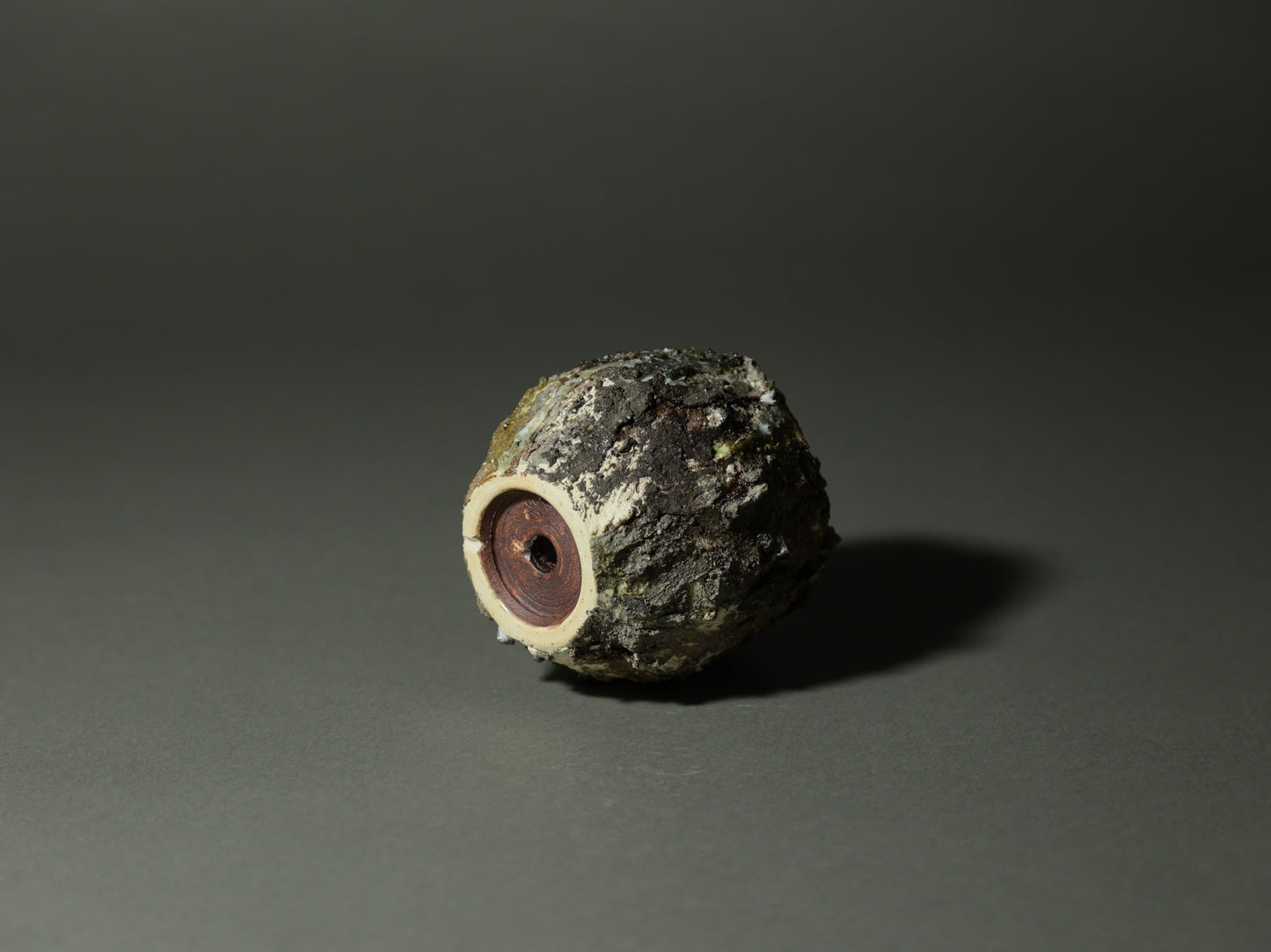 roche nature｜今西 敬之