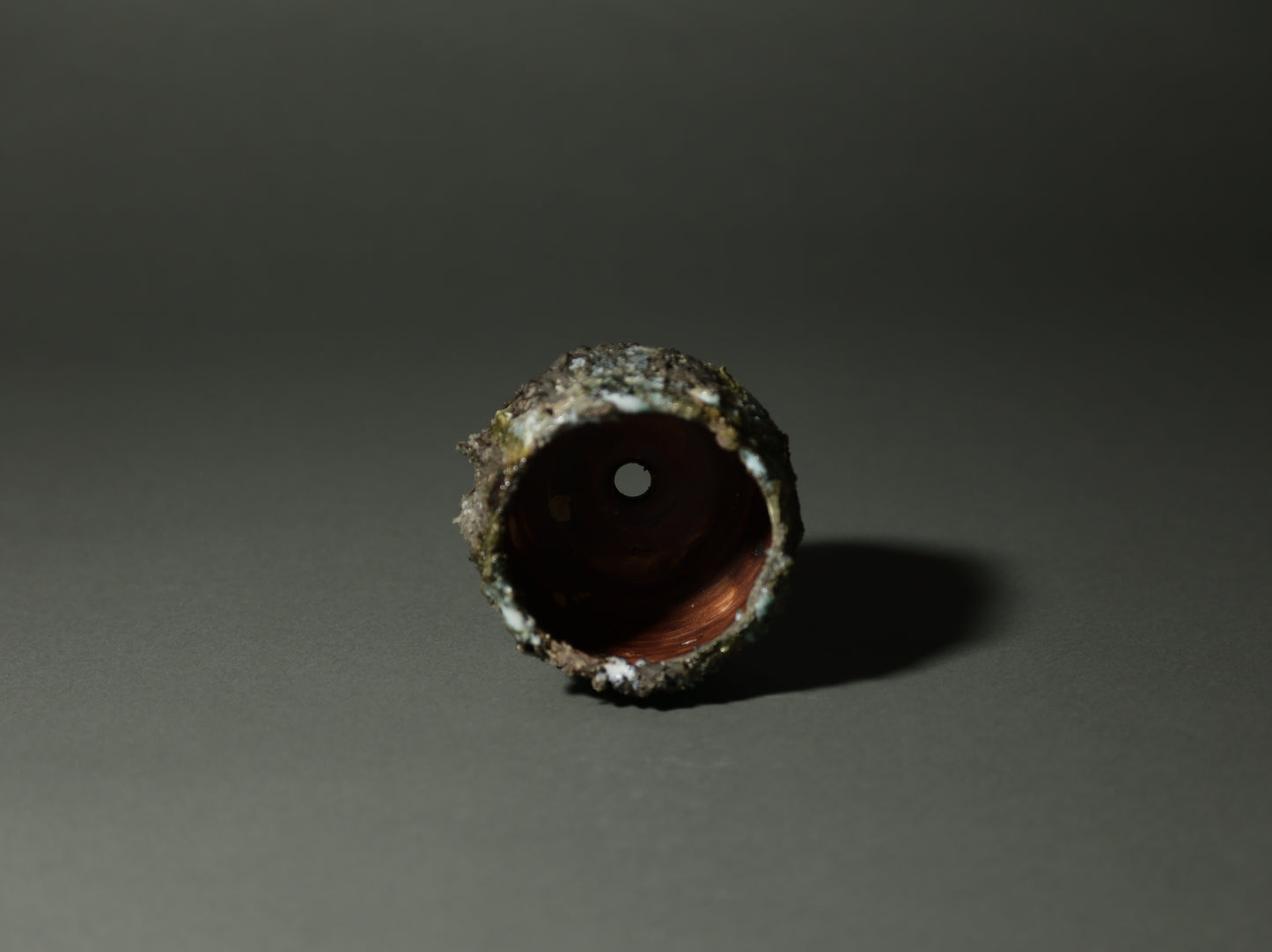 roche nature｜今西 敬之