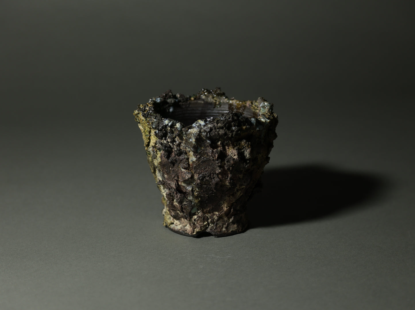 roche nature｜今西 敬之