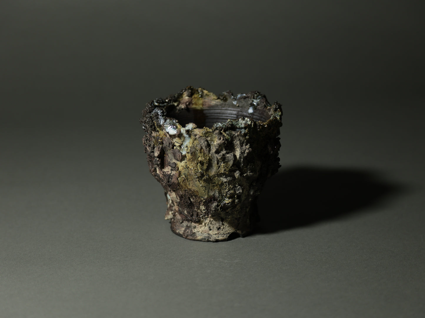 roche nature｜今西 敬之