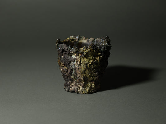 roche nature｜今西 敬之