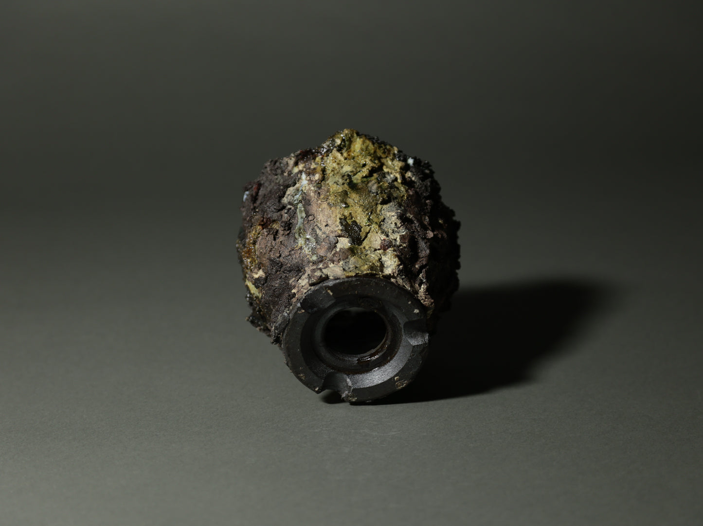 roche nature｜今西 敬之