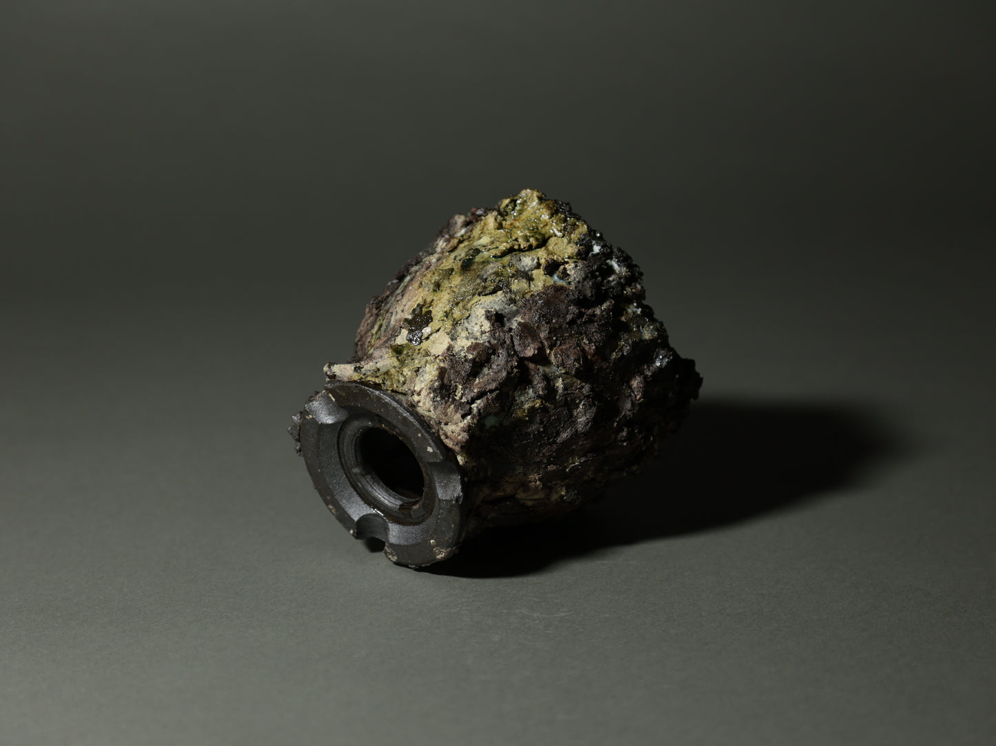 roche nature｜今西 敬之