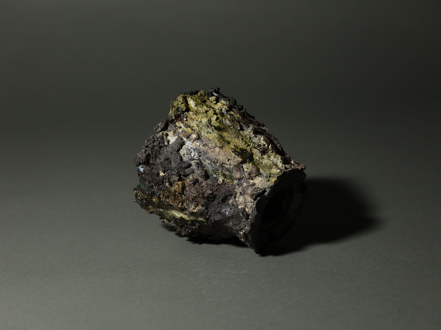 roche nature｜今西 敬之