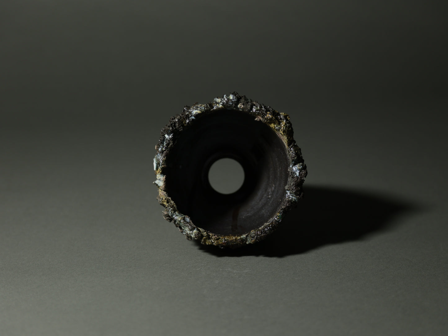 roche nature｜今西 敬之