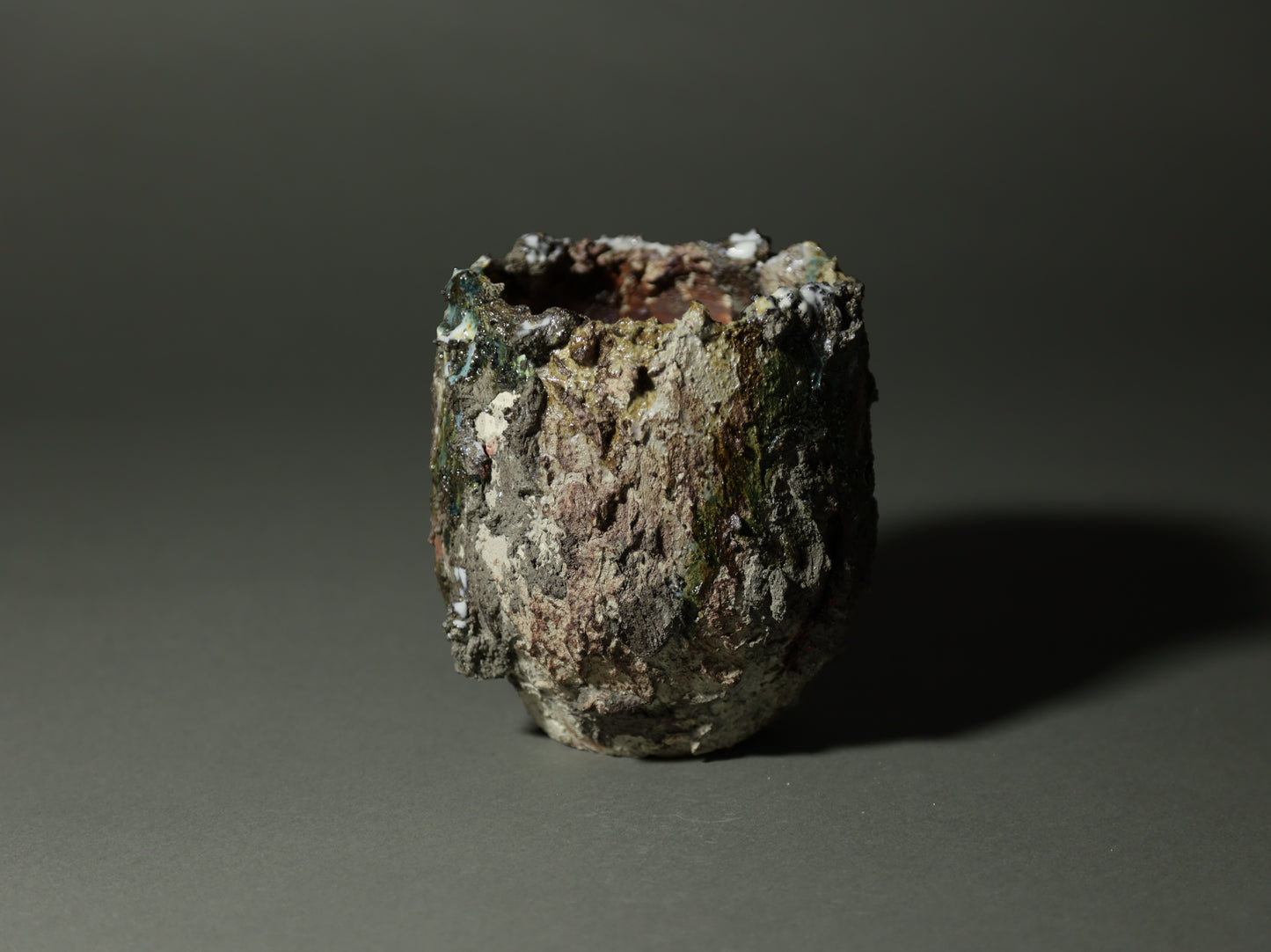 roche nature｜今西 敬之