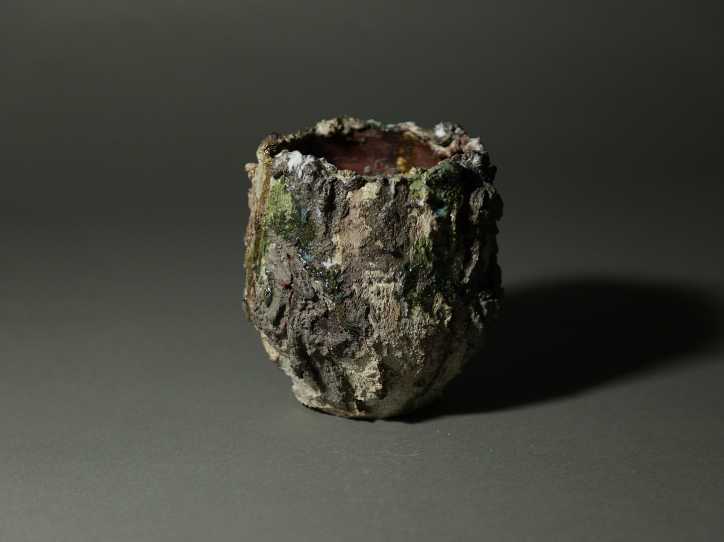 roche nature｜今西 敬之