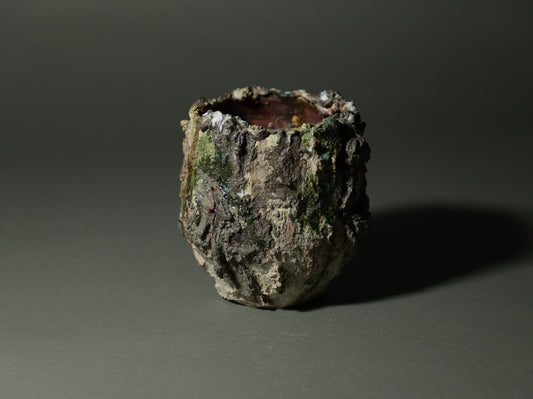 roche nature｜今西 敬之