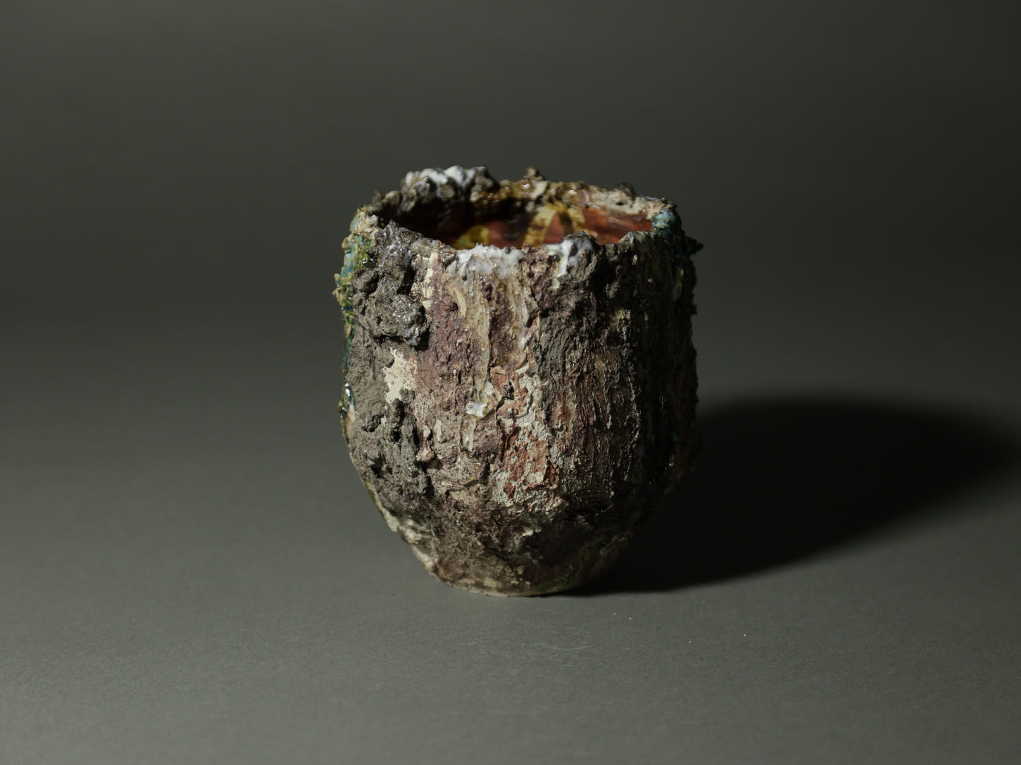 roche nature｜今西 敬之