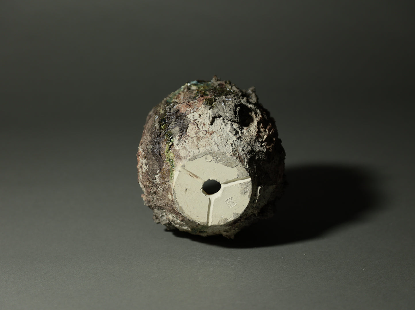 roche nature｜今西 敬之