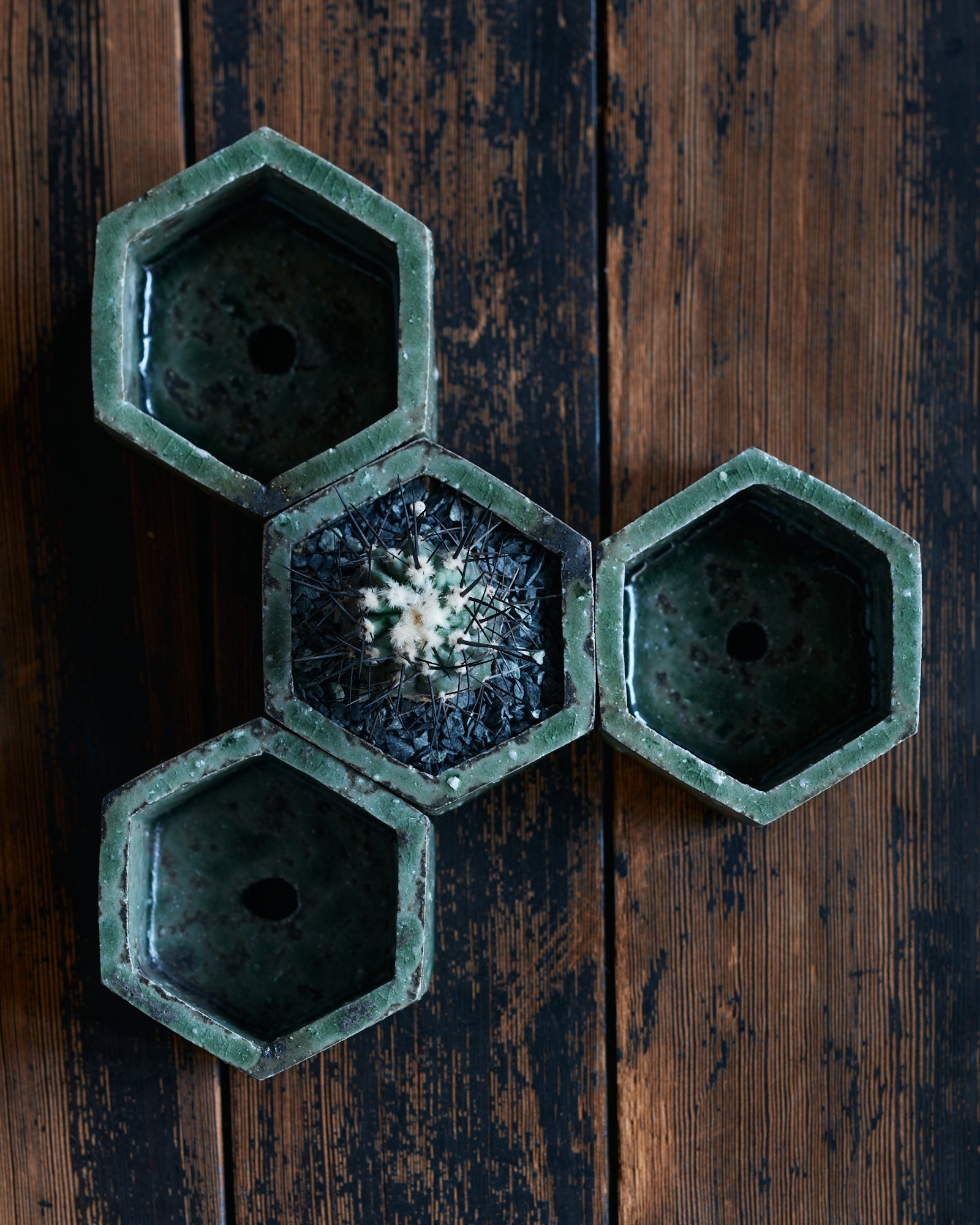 Re / ST - plants & pottery -